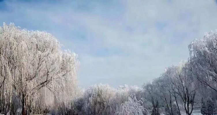 适合在下雪天发的朋友圈说说关于雪的唯美句子（大自然的魅力）