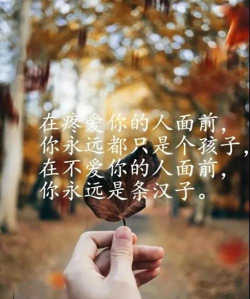 适合晚上发的说说唯美短句（诗意世界，凝聚心灵）