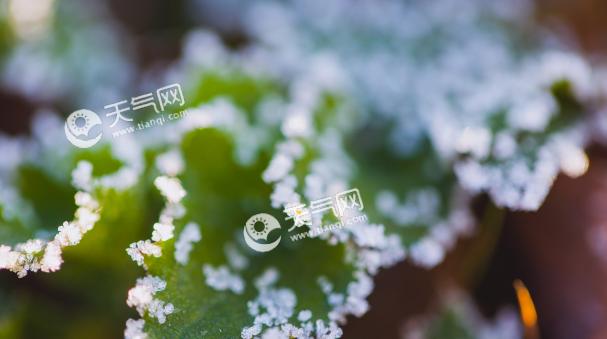 霜降怎么发朋友祝福的说说（秋景万千，让我们一起享受霜降的美好）