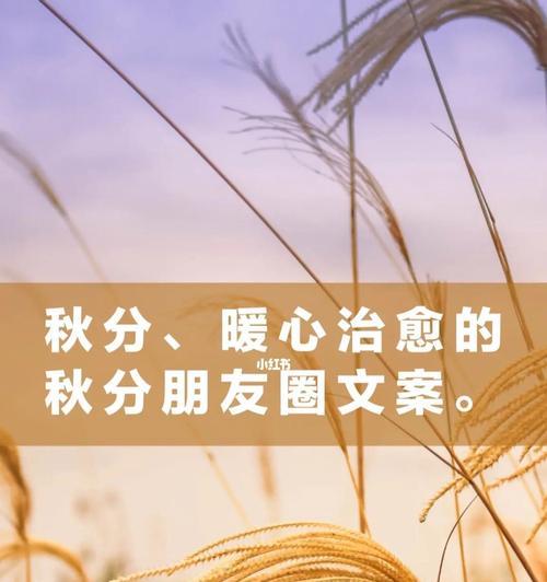 秋分发朋友圈的文案（用心感受秋天的美好，分享生活中的幸福）