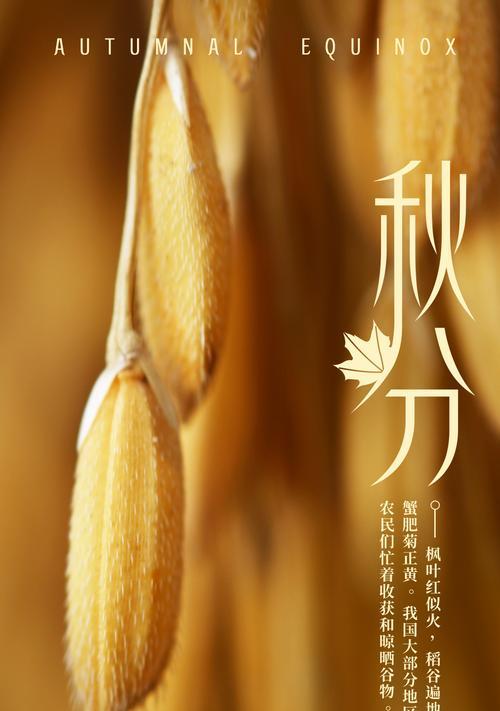 秋分发朋友圈文案（《秋分之美》——品味生命的浪漫）