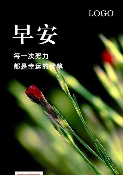 2o20年最后一天的说说（绽放2023，为梦而追）