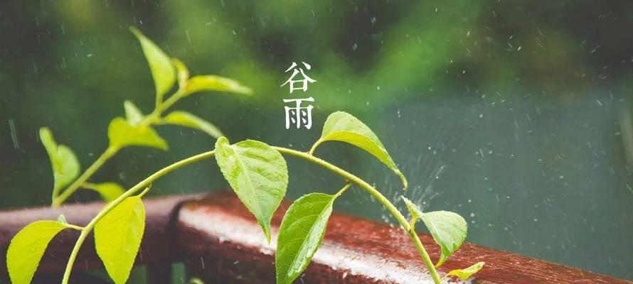 适合谷雨发的句子（谷雨韵景）