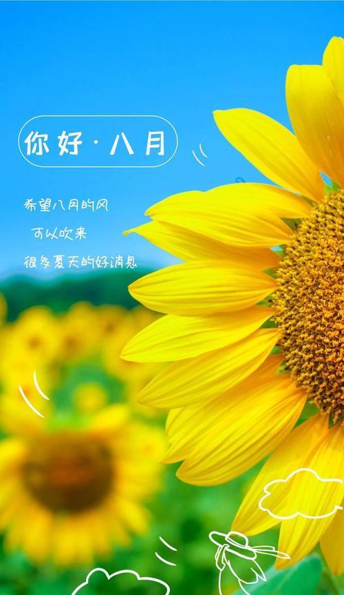 七月再见八月你好的说说简短（七月再见八月你好——夏日之美）