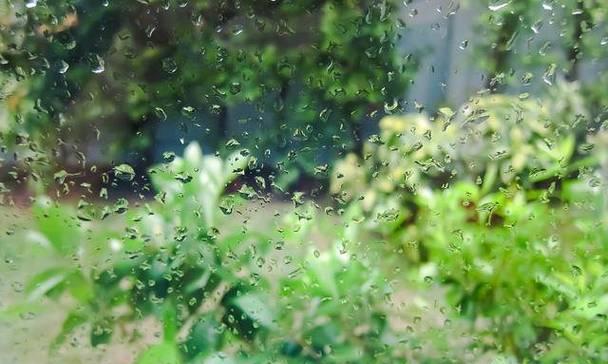 适合下雨天发的朋友圈说说大全!（倾听雨声，感知生命）