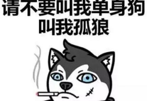 过双11的说说（穿越时间的双11）