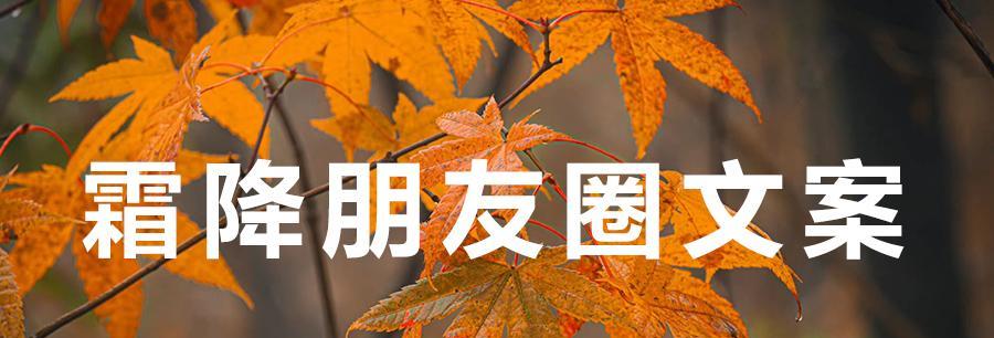 霜降节气说说朋友圈祝福问候（那年霜降，温暖心房）