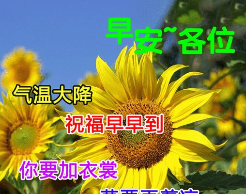 霜降节气说说朋友圈祝福问候（那年霜降，温暖心房）