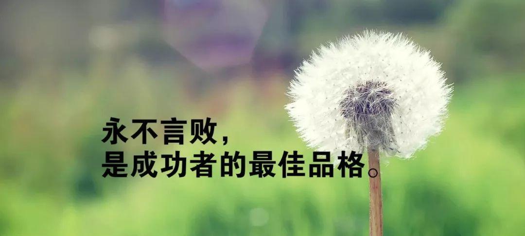 有关励志的句子50句（《梦想点燃人生》）