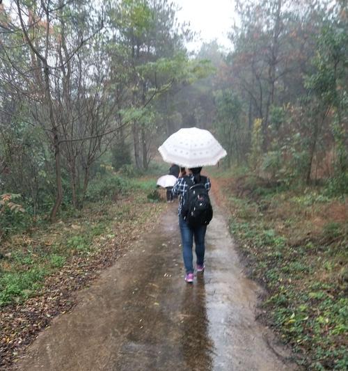 有关立冬的第一场雨说说的好句有哪些（立冬的神秘之雨）