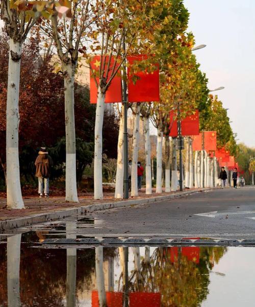 有关立冬的第一场雨佳句2023的好句有哪些（《雨落枫林》）