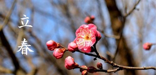 有关立春祝福语说说问候语录的好句子（春暖花开，立春祝福语心意送）