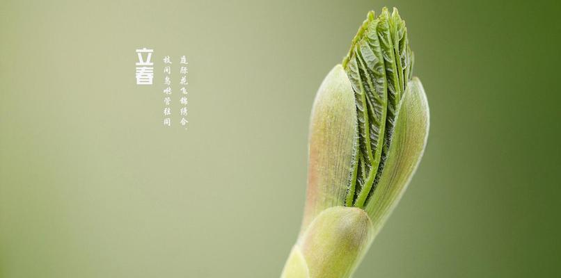 立春节气祝福语句子大全立春发朋友圈的说说问候语录（春天来了，祝你快乐）