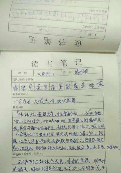 有关看书的唯美句子的短句摘抄（书香人生：唯美短句赏析）