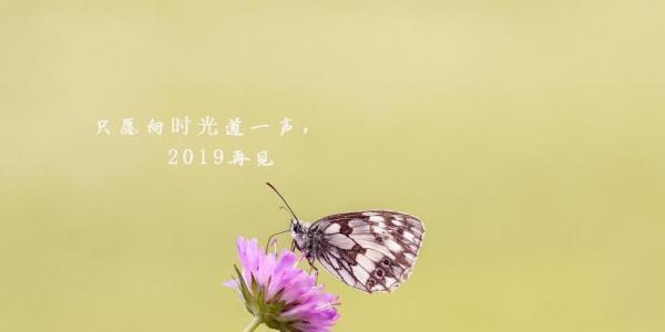 202o最后一天说说（2023年最后一天，我的心境）