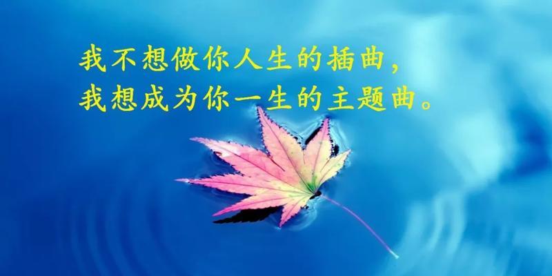 有关经典哲理句子的句子大全（行进的哲学）