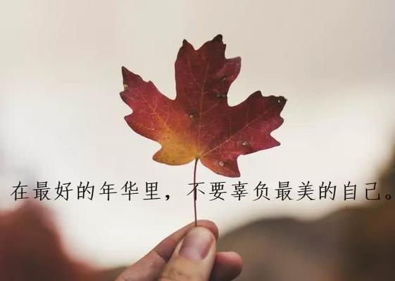 发微信朋友圈的精美句子（以经典发微信朋友圈的句子为例）