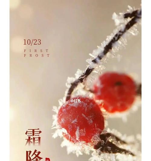 霜降早上好祝福语（冬日初霜，余温未散）