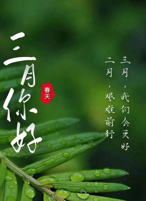 3月再见,4月你好说说（春去秋来，惜别友缘）