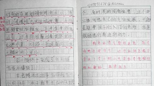 小鸭历险记作文400字（《小鸭历险记》）