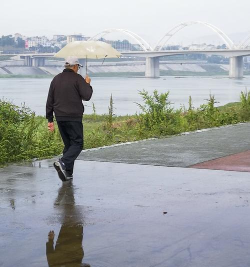 雨中情满分作文（《下雨天的情感缠绵》）