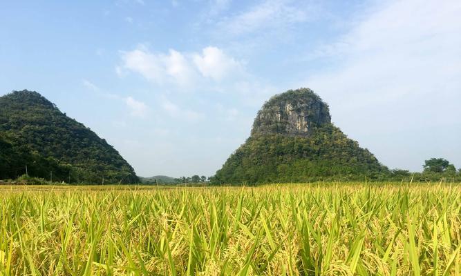 以家乡的美景为题写一篇作文300字（《红叶山记》）