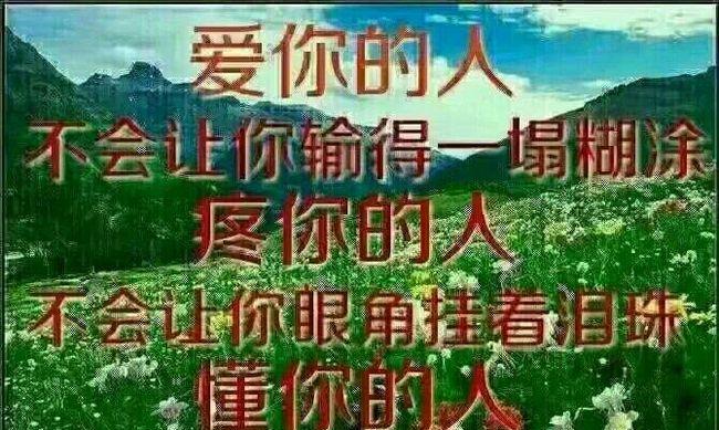 以懂你为话题的作文500字左右（《懂你的人》）