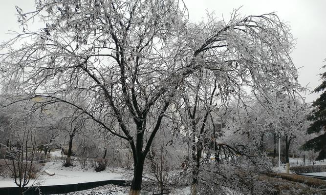 有关冬天第一场雪伤感朋友圈说说的短句（凝视雪花，心中思绪万千）