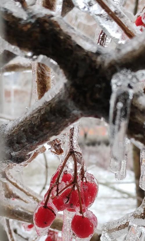 有关冬天第一场雪伤感朋友圈说说的短句（凝视雪花，心中思绪万千）