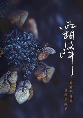 霜降节气优美句子短句大全（关于霜降节气的优美句子）