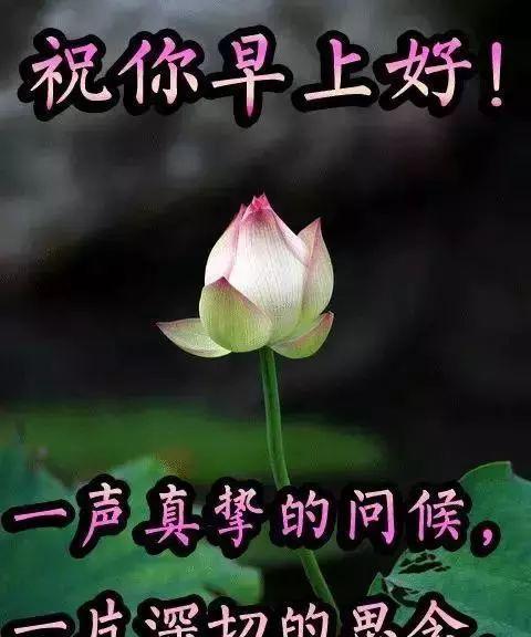 生活美好幸福的说说（美好幸福，因为生活）