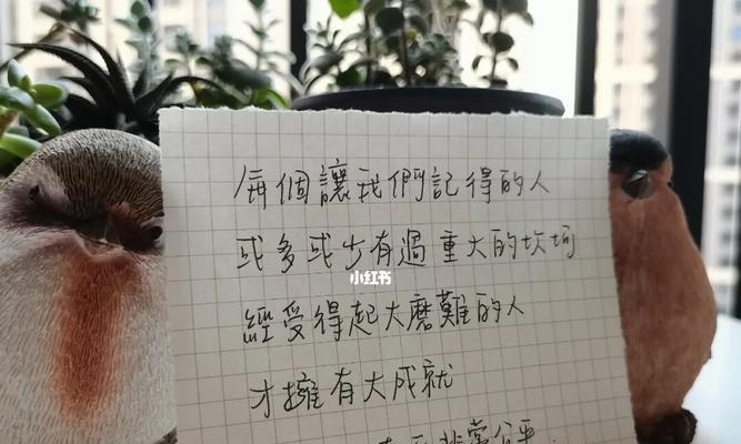 关于人生之路的文案（行走在梦想与现实之间）