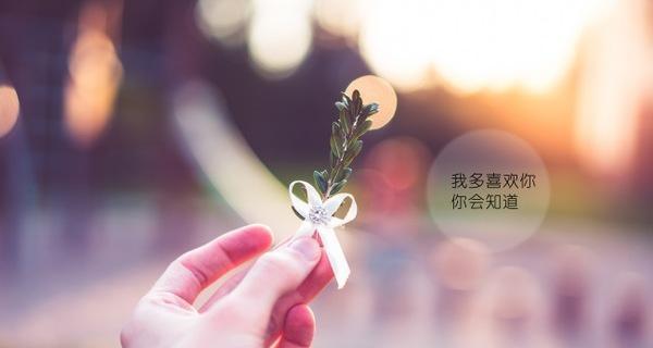 2021最优美七夕情人节说说（七夕情人节，融化你我心的唯美短句）