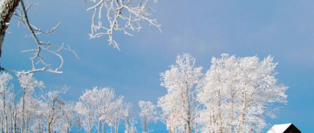 有关关于冬天雪景的句子的好句有哪些（冬日白雪迎春，神州大地尽染银妆）