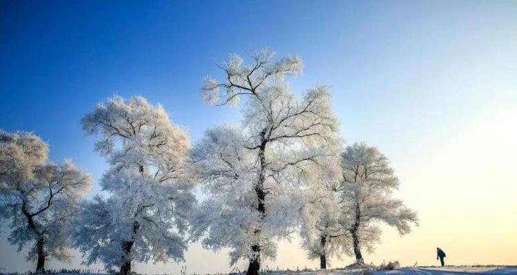 有关关于冬天雪景的句子的好句有哪些（冬日白雪迎春，神州大地尽染银妆）