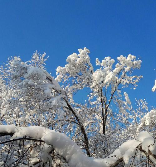 有关冬天第一场雪的文案（白色纷飞唤醒心中的温度）