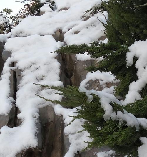 有关冬天第一场雪的文案（白色纷飞唤醒心中的温度）