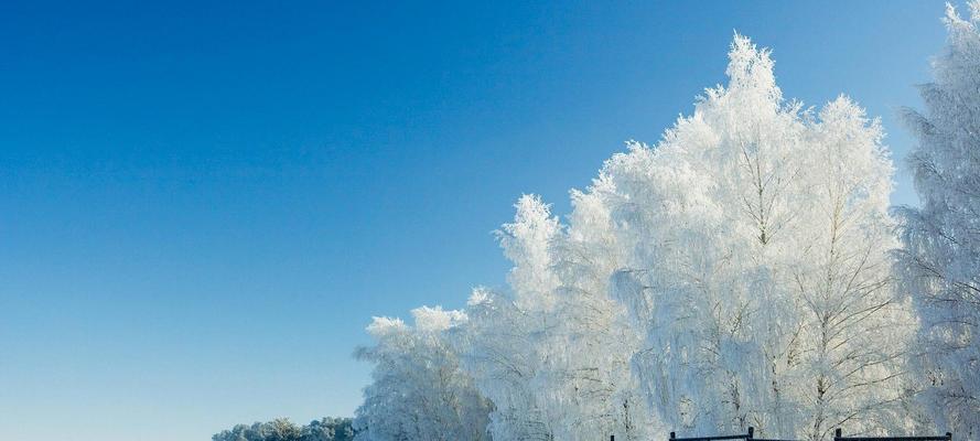 关于冬天的优美句子短句子（白雪皑皑，瑰丽无比）