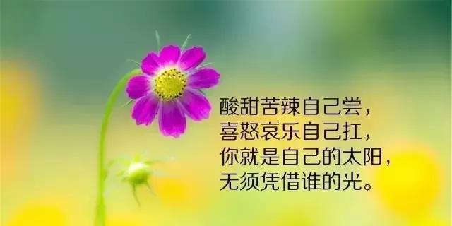 适合初中生积累的哲理短句（探索内心，领悟人生）