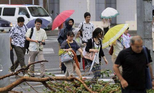 刮台风的说说心情短语（台风来袭，我的朋友圈闹笑话）