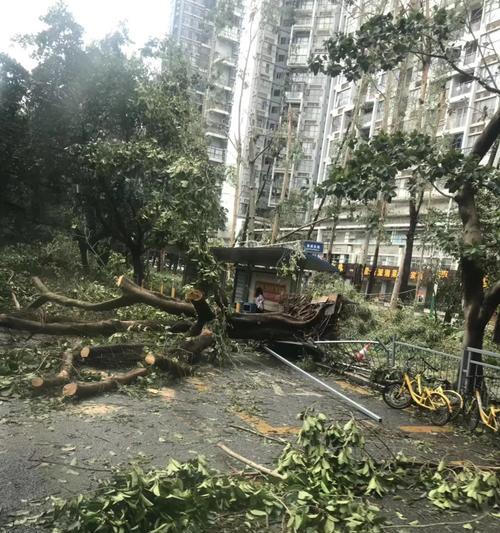 刮台风的幽默说说（在风暴中感受生命的美好）