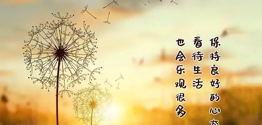 搞笑幽默人生感悟句子（欢乐与思考的人生之旅）