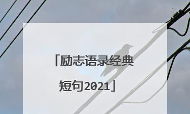 高中好的句子摘抄 优美（飞跃青春，勇攀高峰）