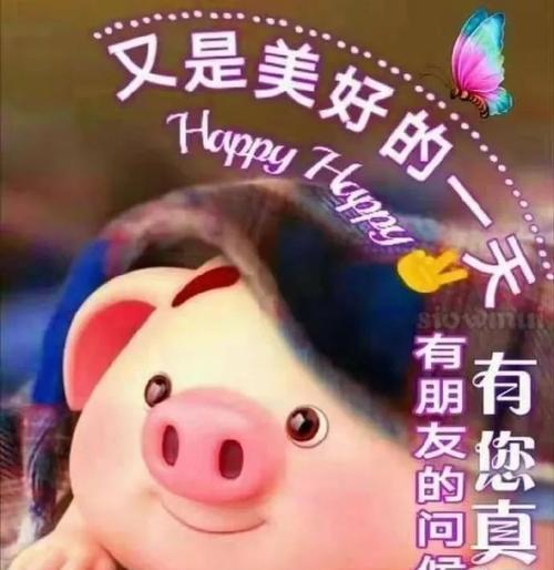 有关高兴的句子经典唯美的短句（高兴的时光）