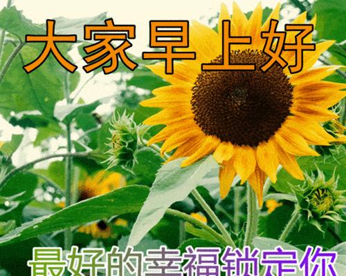 高情商早安问候句子（以高情商早安问候语2023最新）