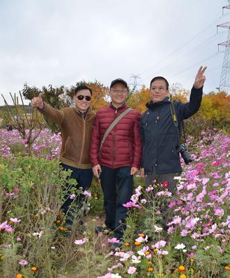 霜降发抖音句子（以抖音霜降好句为主题的美丽句子）