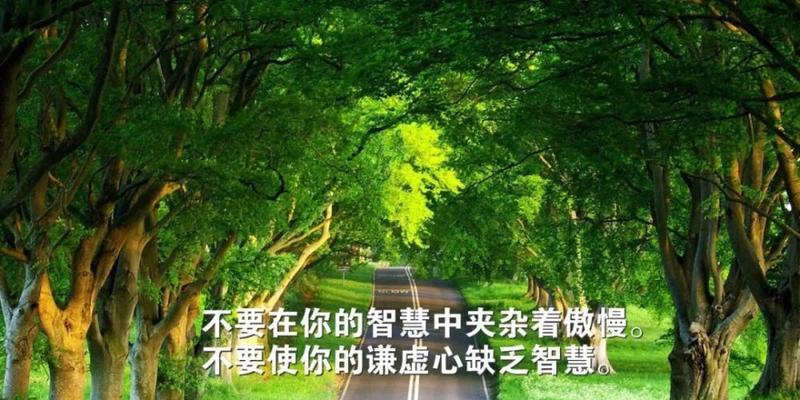 关于感悟生活哲理的名言（感悟生活，领悟人生）