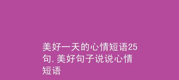 感情的美好的句子（《心动不止，情感美好》）