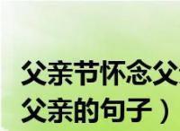 关于父亲节的佳句（父亲节优美句子范例95条——致敬伟大父爱）