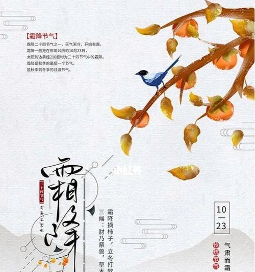 二十四节气霜降的诗句（霜降时节，白露初凝）